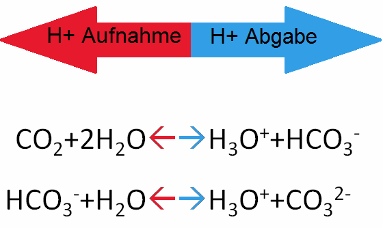 Wasser - so viel Mehr als H2O TEIL I - Glossar - Aquaristik-Community.info